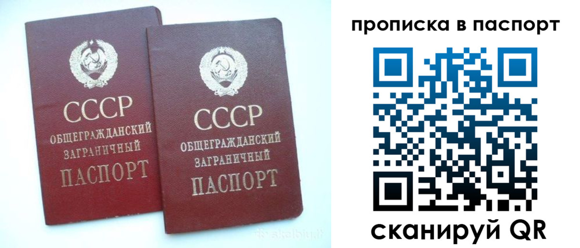 прописка законно в Грозном